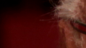 Stan Lee tiene 95 años y padece problemas de visión.