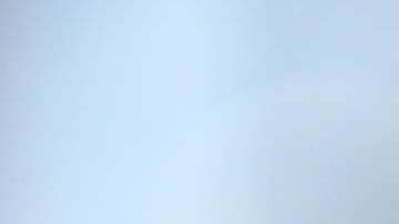 El té contiene muchos flavonoides.