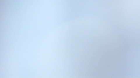 El té contiene muchos flavonoides.