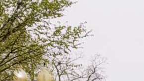 El TPS de Honduras caduca el 5 de julio y los demócratas piden su renovación.