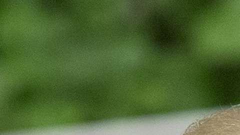 Stewart fue declarada culpable de obstrucción a la justicia, conspiración y falsos testimonios.