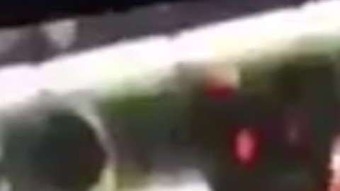 La transmisión fue completamente en vivo