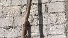 En Puebla asesinaron a un candidato de Morena.