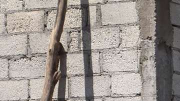 En Puebla asesinaron a un candidato de Morena.