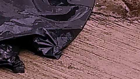 Violencia en Veracruz / Agencia Reforma