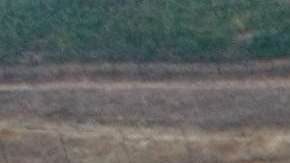 El informe desvirtúa el mito de conservadores de que los inmigrantes son un lastre para la economía