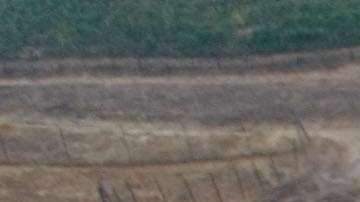 El informe desvirtúa el mito de conservadores de que los inmigrantes son un lastre para la economía