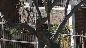 101016018_gettyimages-102413188