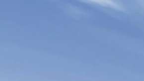Es posible que volvamos a traer al mamut lanudo en forma de un elefante híbrido.