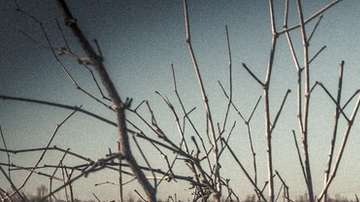 Moynaq fue el principal puerto pesquero de Uzbekistán sobre el mar de Aral.