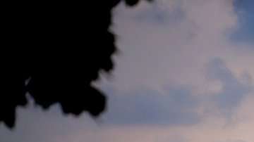 101824177_gettyimages-98135518