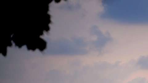 101824177_gettyimages-98135518