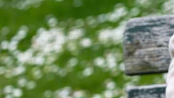 ¿Disfrutas de las actividades solitarias, como leer?