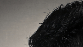 Cuando hablamos otro idioma tenemos menos opciones.