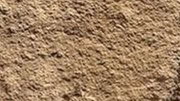 Huella encontrada en China en rocas de entre 551 y 541 millones de años.