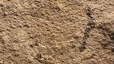 Huella encontrada en China en rocas de entre 551 y 541 millones de años.