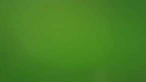 La malaria la causa un parásito y la transmiten mosquitos infectados.