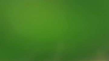 La malaria la causa un parásito y la transmiten mosquitos infectados.