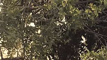 Valle de Paz se encuentra cerca de la capital de Belice, Belmopán.