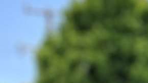 102149558_mediaitem102145739