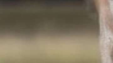 102166427_untitled-3