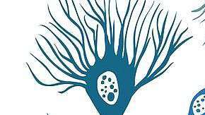 este tipo de tecnología ayude a mejorar el diagnóstico y tratamiento de enfermedades.