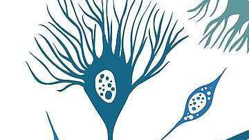 este tipo de tecnología ayude a mejorar el diagnóstico y tratamiento de enfermedades.