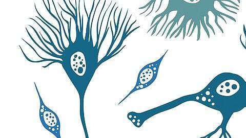 este tipo de tecnología ayude a mejorar el diagnóstico y tratamiento de enfermedades.