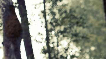 Dormir bien es un asunto muy serio.