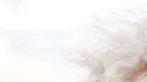 El índice de mortalidad humana crece exponencialmente hasta los 80.