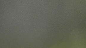 La mujer fue hallada sin vida en la cuadra 400 este de la calle Ohio en Streeterville.