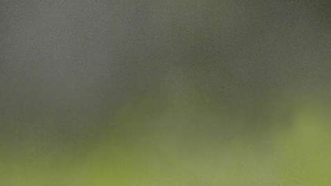 La mujer fue hallada sin vida en la cuadra 400 este de la calle Ohio en Streeterville.