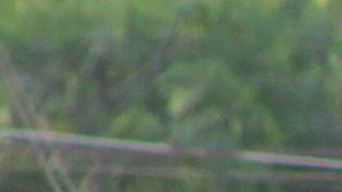 Muerte de regidor eleva a 103 candidatos asesinados en elecciones mexicanas.