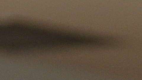 La candidata a diputada  Juana Iraís Maldonado fue asesinada en Puebla.