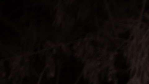 Rescatistas buscan desaparecidos en Guatemala.