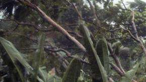 Los ciclones tropicales se desplazan cada vez más despacio y causan más daños.