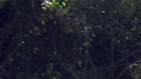 El autobús venía de Aguascalientes al santuario del Cristo de Chalma.