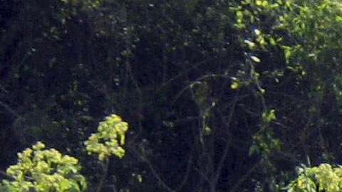 El autobús venía de Aguascalientes al santuario del Cristo de Chalma.