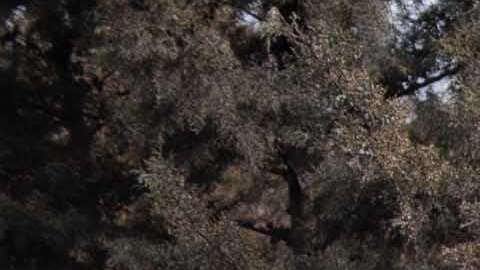 bomberos en labores de búsqueda en la aldea San Miguel Los Lotes.