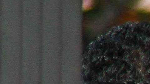 Familias podrán pasar largos períodos detenidas, sin ser separadas