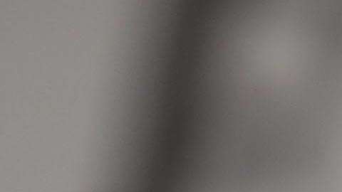 Susan Sarandon estuvo detenida por protestar contra la política migratoria.