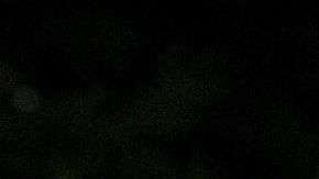 Un homenaje en memoria de las víctimas del tiroteo contra la redacción del periódico Capital Gazette.