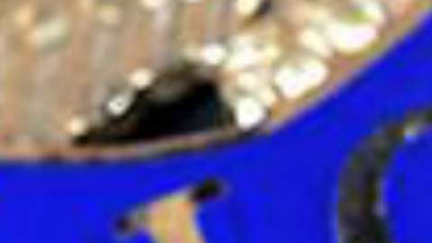 El 77%  de los arrestados fueron criminales condenados y el 70% de ellos tenían condenas previas por delitos graves