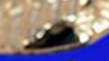 ICE recibe un revés en Georgia gracias a las políticas de Trump