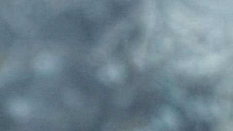 Putin respondió por las imágenes.