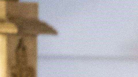 El presidente Trump enfrenta críticas por su política contra niños.