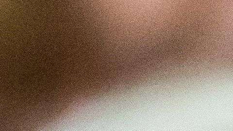 Miller es el principal promotor de las políticas contra inmigrantes.