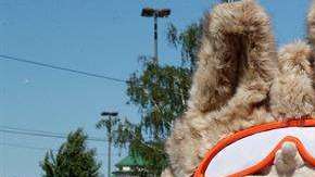 El lobo Zabivaka es la mascota del Mundial de Rusia 2018