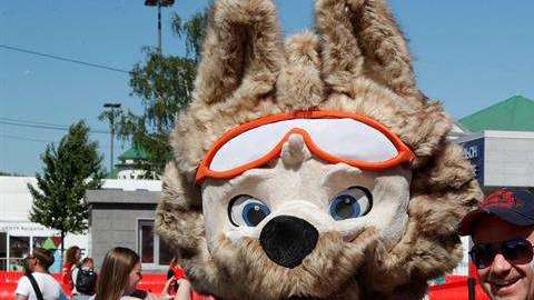 El lobo Zabivaka es la mascota del Mundial de Rusia 2018