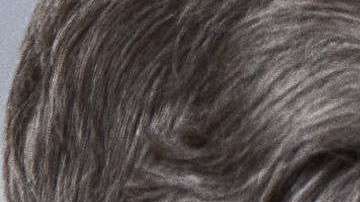 Esta imagen del G7 se volvió viral el fin de semana.